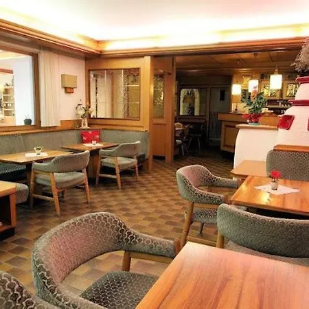 Primula 3*